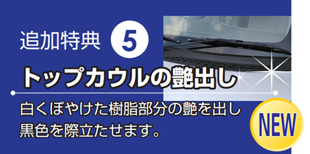 追加特典5 トップカウルの艶出し